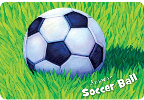 Little Soccer Toddler Board Book