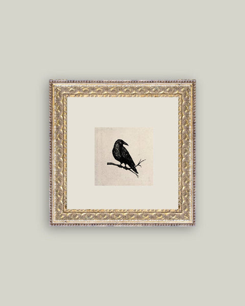 Crow Framed Antique Art