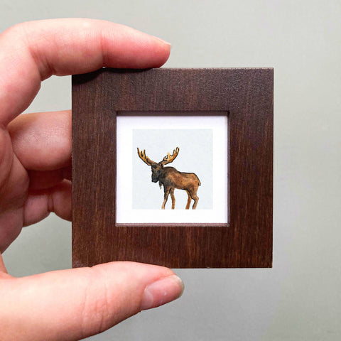 Mini 1" Moose Animal Tiny Watercolor Painting Art Print