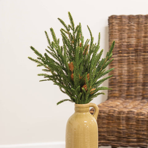 Soft Touch Austrian Pine Bush - 20"