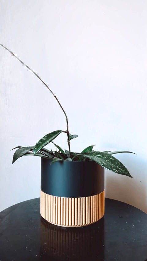 Two-toned Wood & Colour Plant Pot