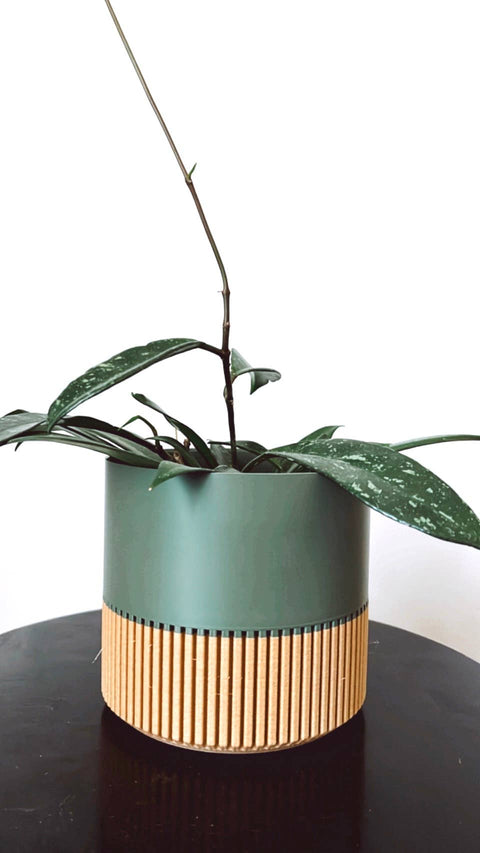 Two-toned Wood & Colour Plant Pot