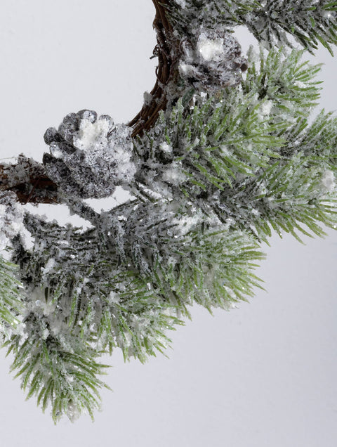 Small Flocked Pine Wreath