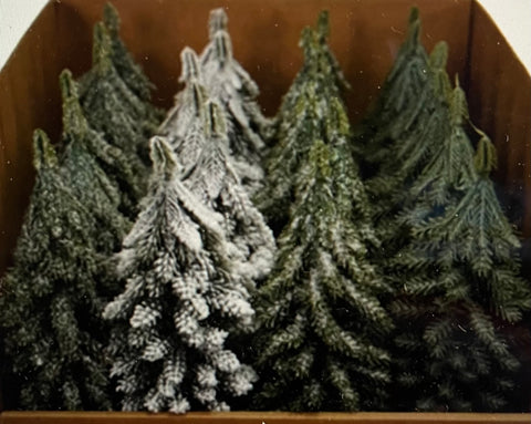 4-1/4"H Faux Evergreen Trees with Natural Wood Slice Bases