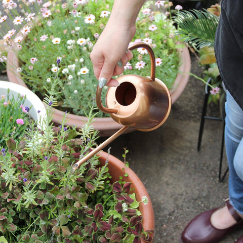 Modern Industrial Watering Can 0.6L