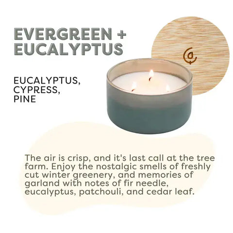 Evergreen + Eucalyptus - Resilience Series 3 Wick Soy Candle