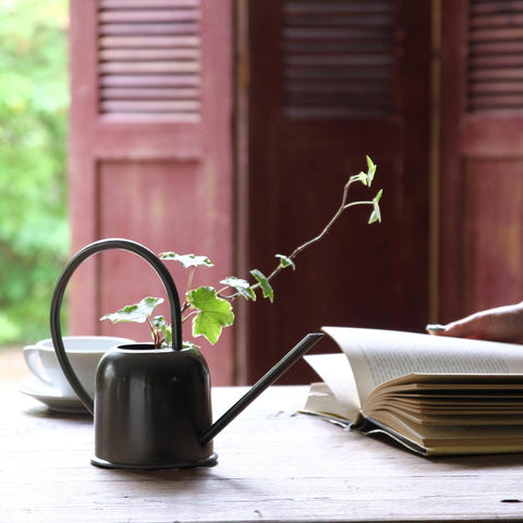 Modern Industrial Watering Can 0.6L