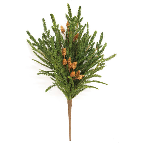 Soft Touch Austrian Pine Bush - 20"