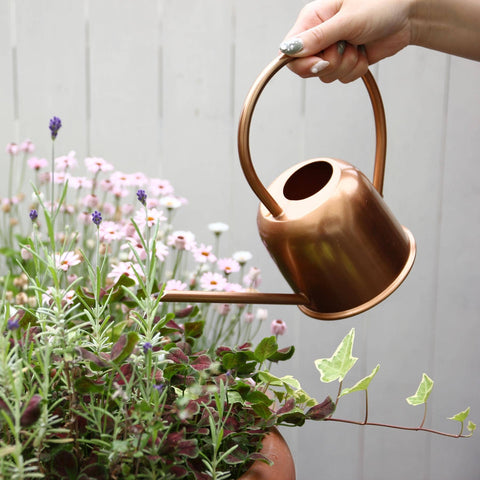 Modern Industrial Watering Can 0.6L