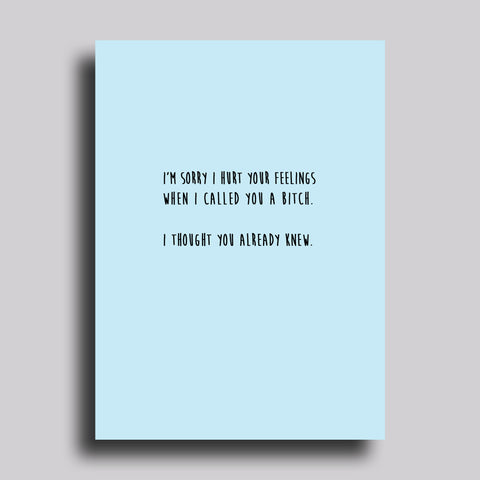 I Thought You Already Knew apology funny Greeting Card apology