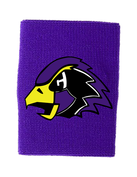 Chaska Hawks Athletic Wristband